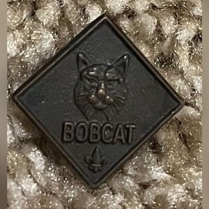 Boy scout pin vintage